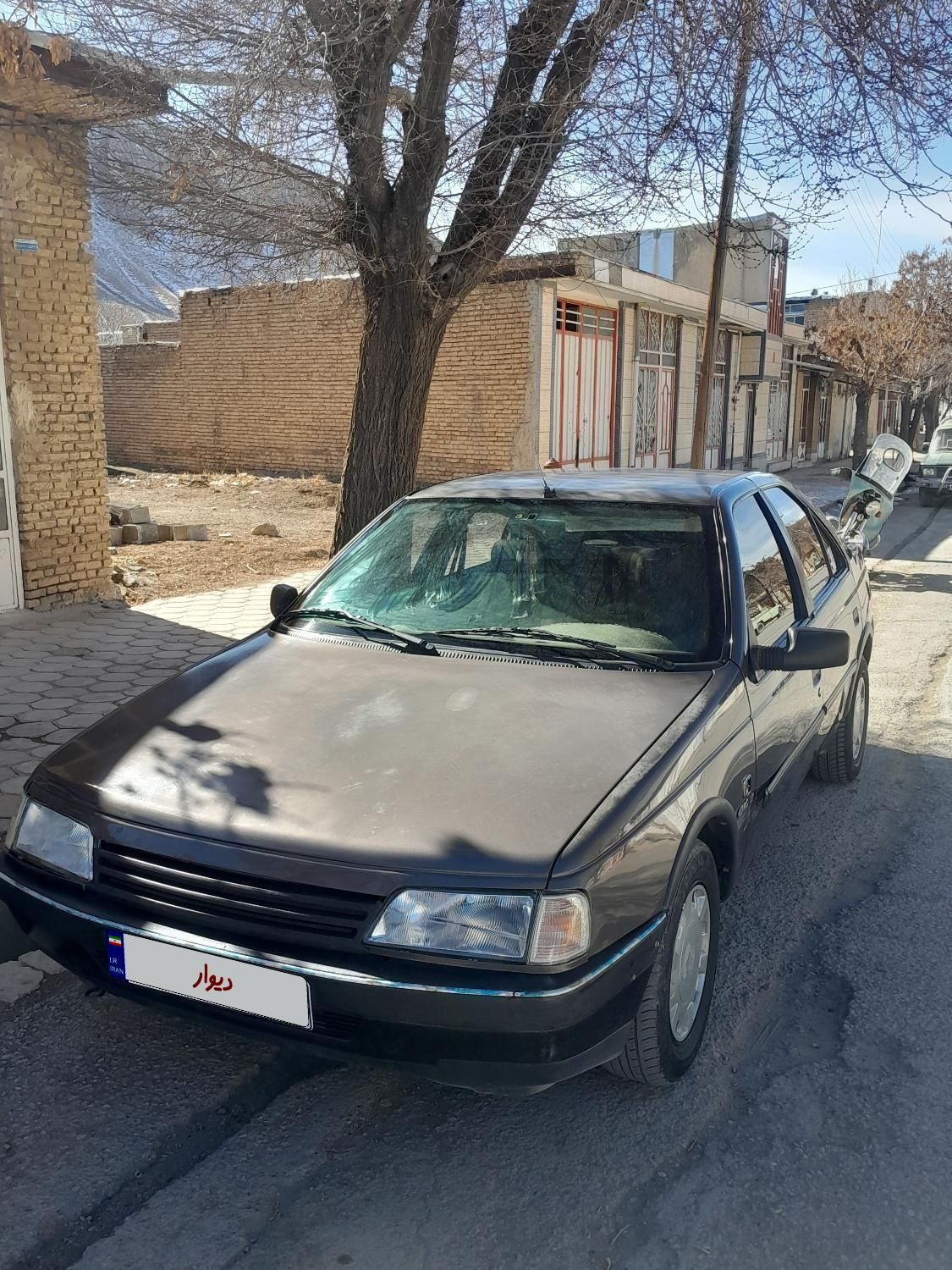 پژو روآ G2 دوگانه سوز - 1390