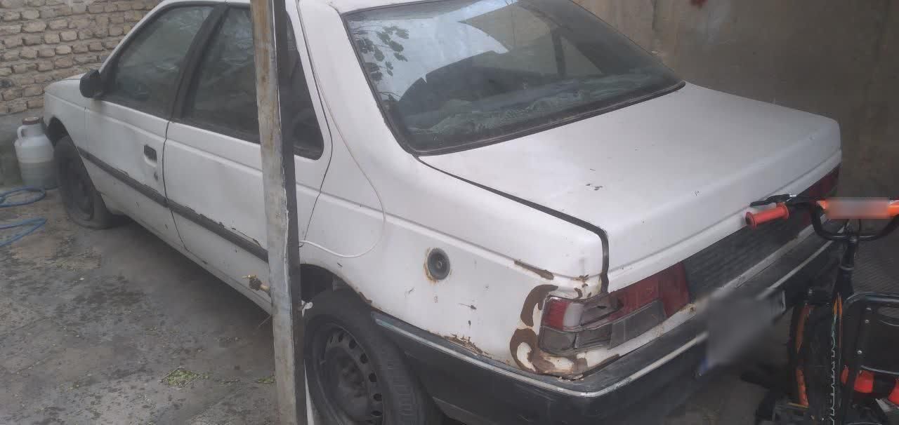 پژو آردی دوگانه سوز CNG - 1382