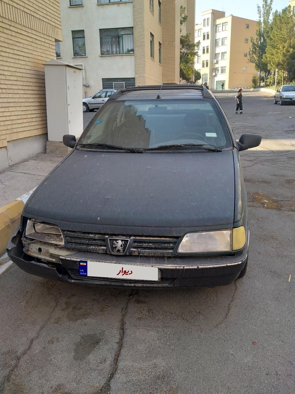 پژو آردی دوگانه سوز CNG - 1384