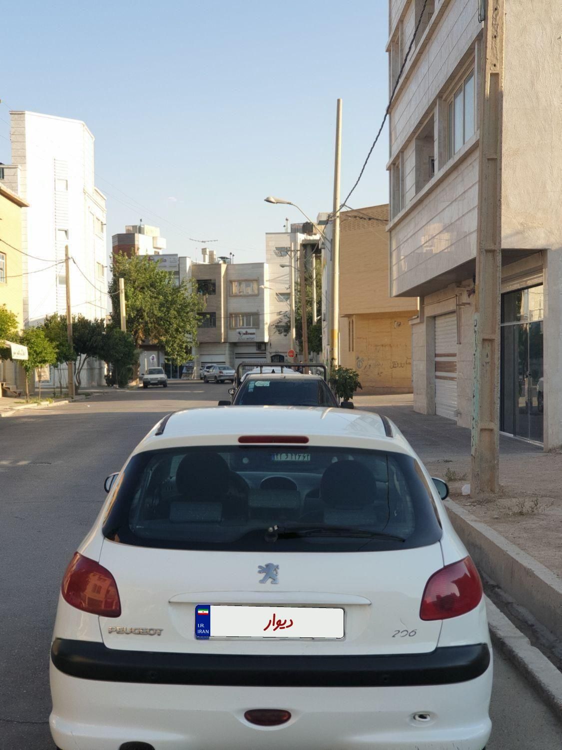 پژو 206 تیپ 2 - 1394