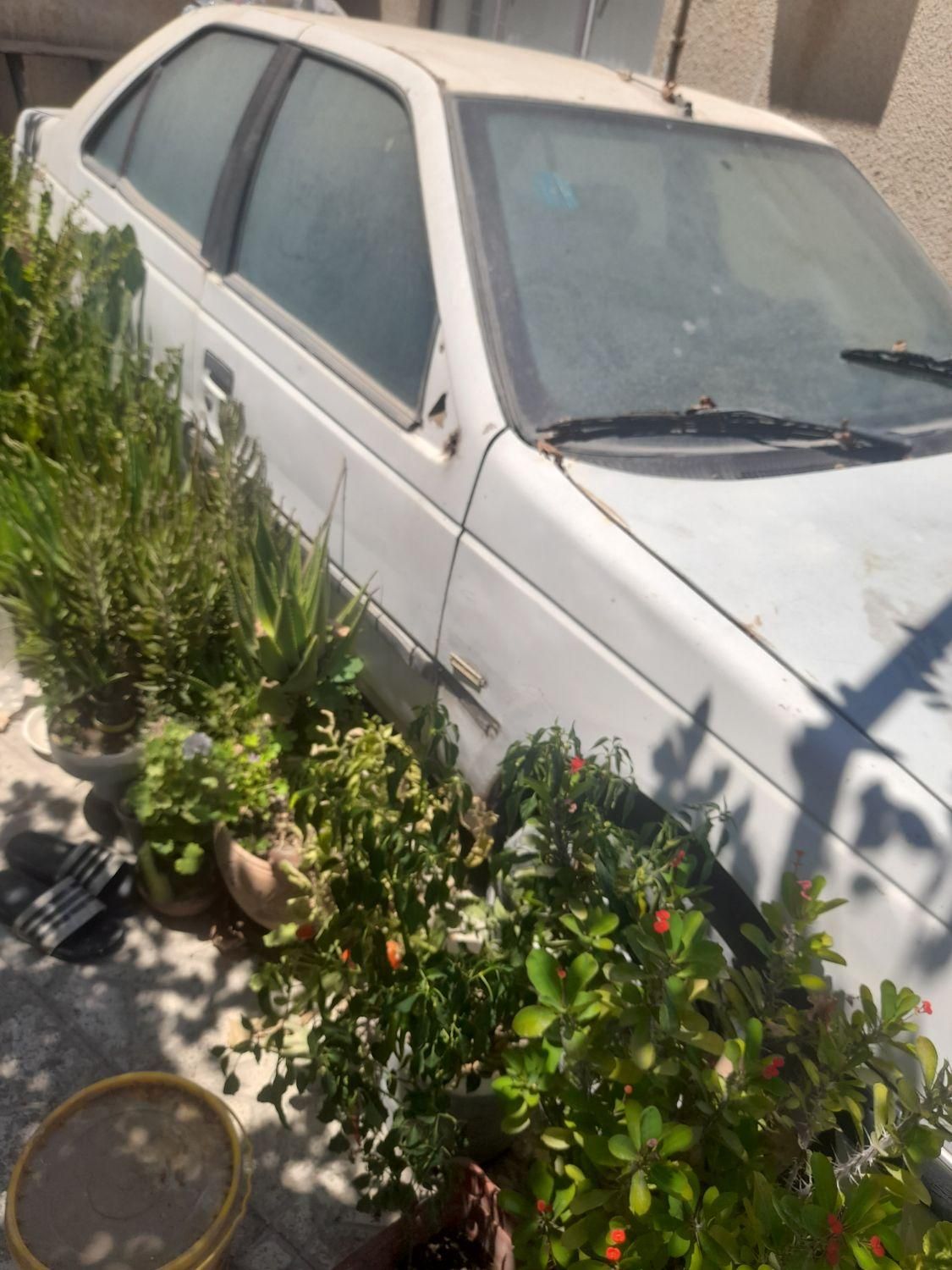 پژو روآ بنزینی - 1385