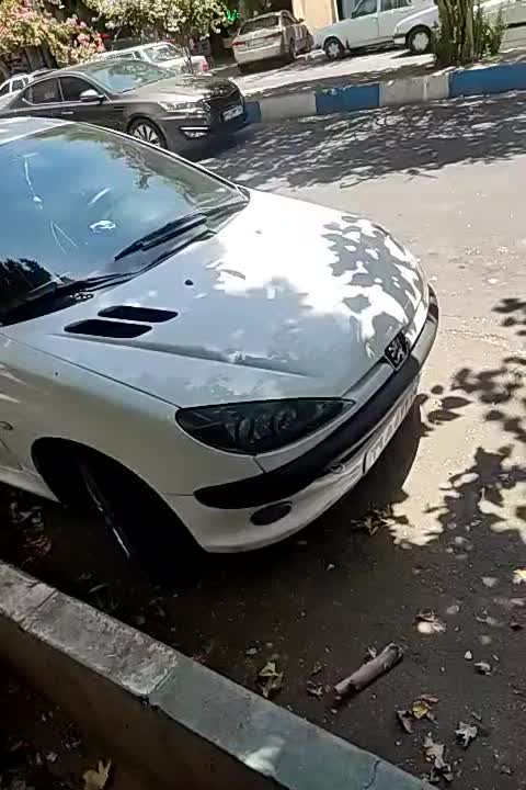 خودرو پژو، 206 آگهی ann_19809572