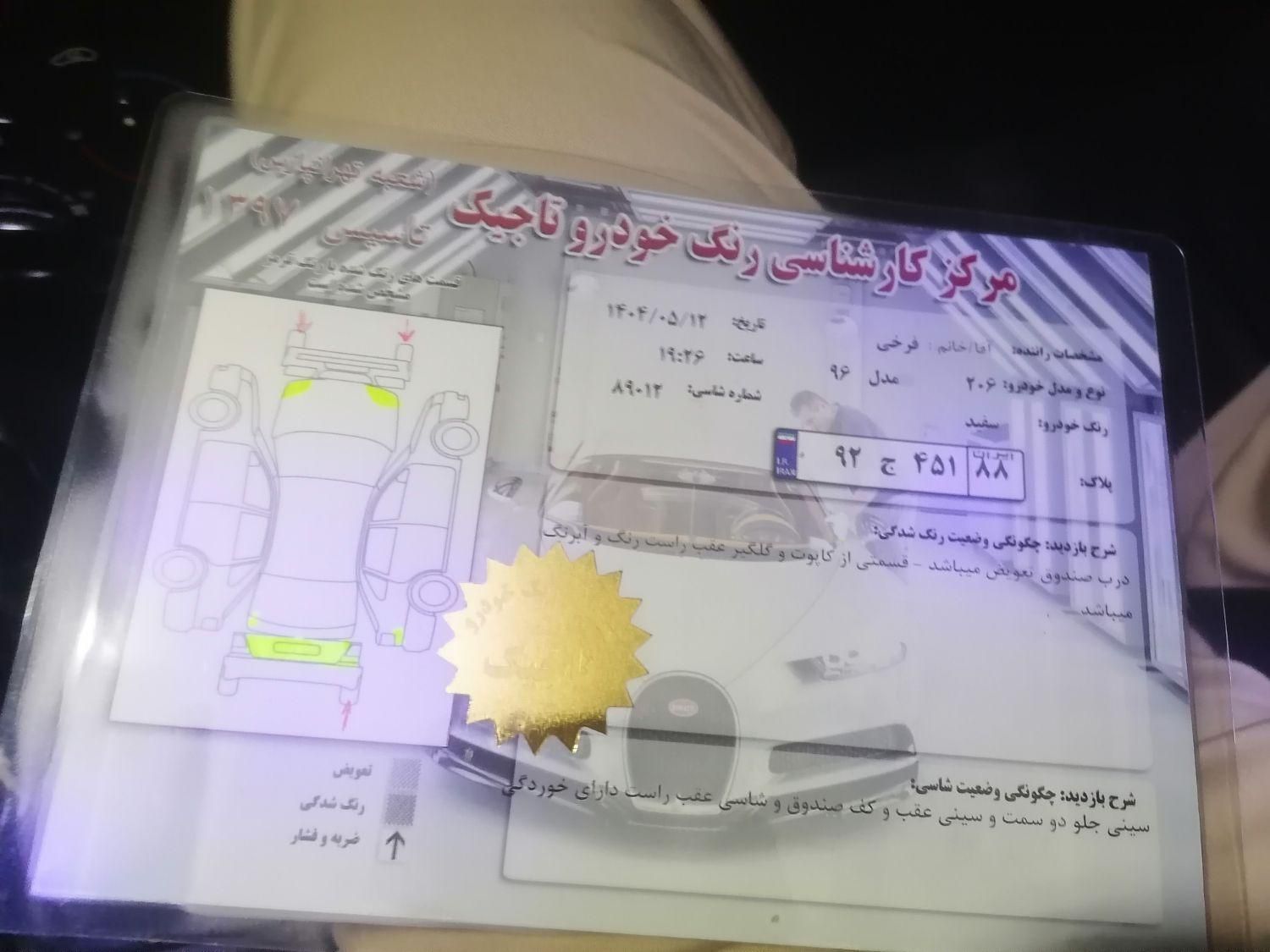 پژو 206 تیپ 3 - 1391