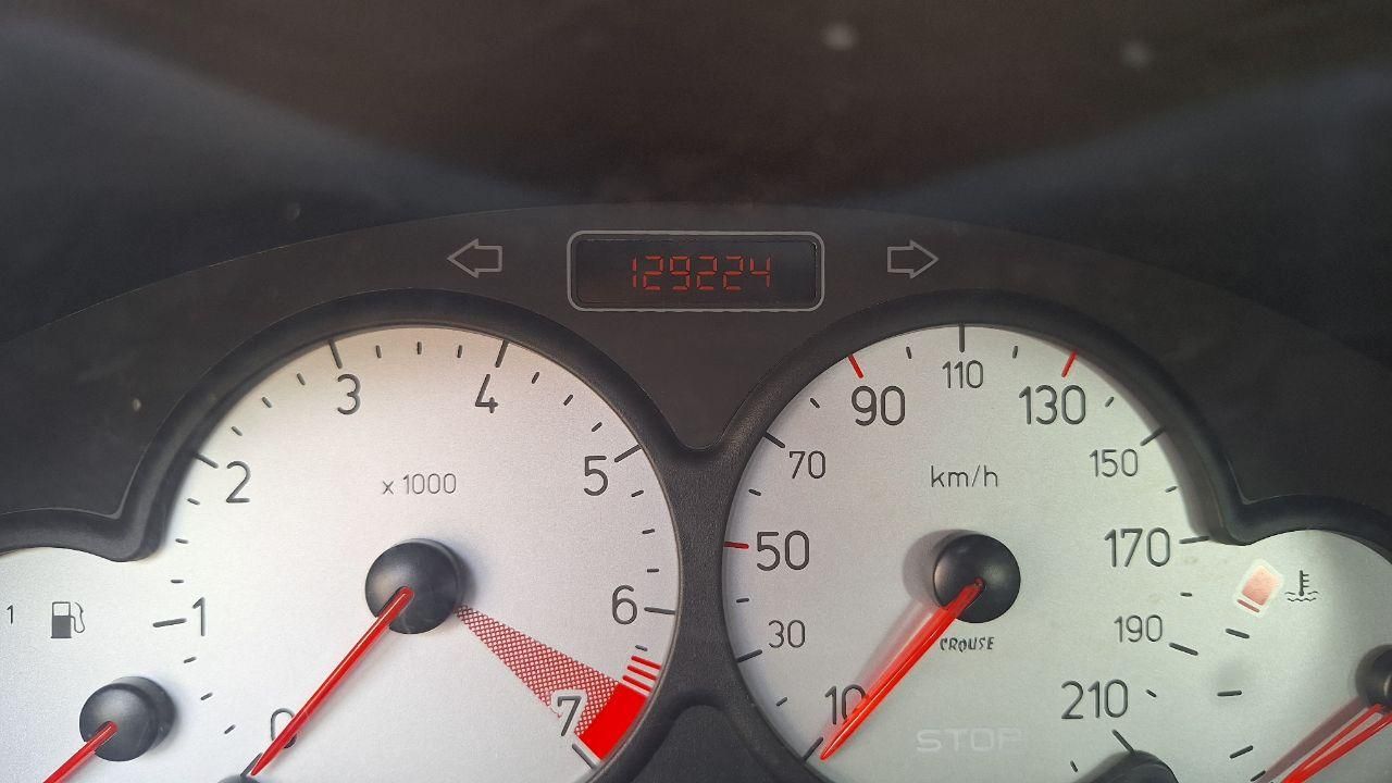 پژو ۲۰۶ صندوق دار v8 - 1395