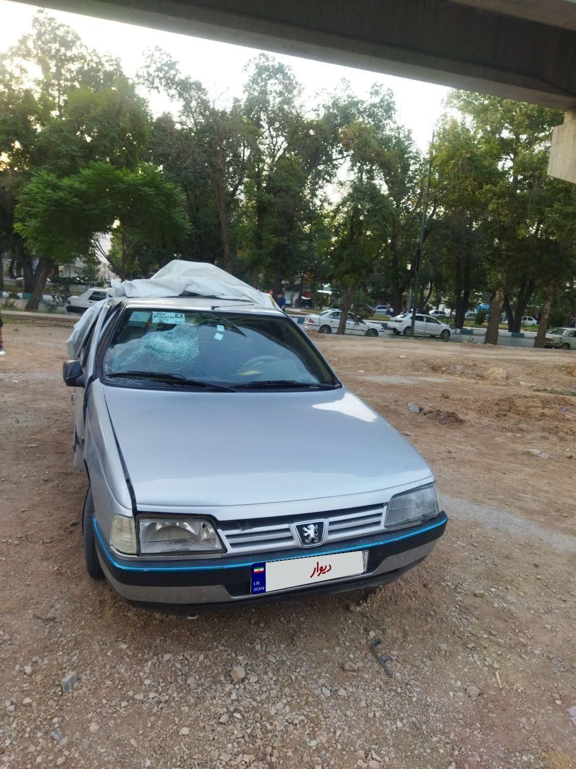 پژو 405 GL - دوگانه سوز CNG - 1379