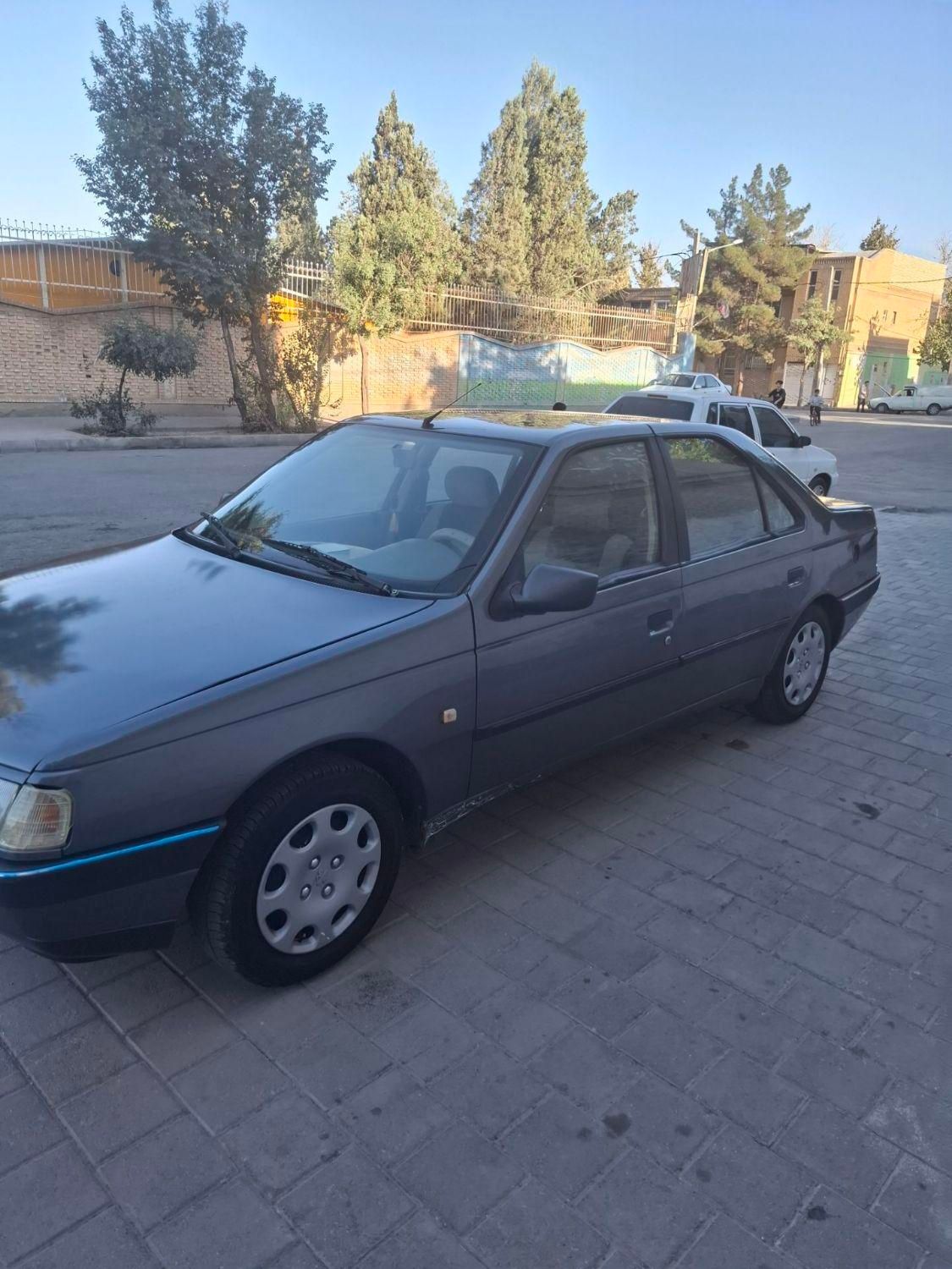 پژو 405 GLX - دوگانه سوز - 1394