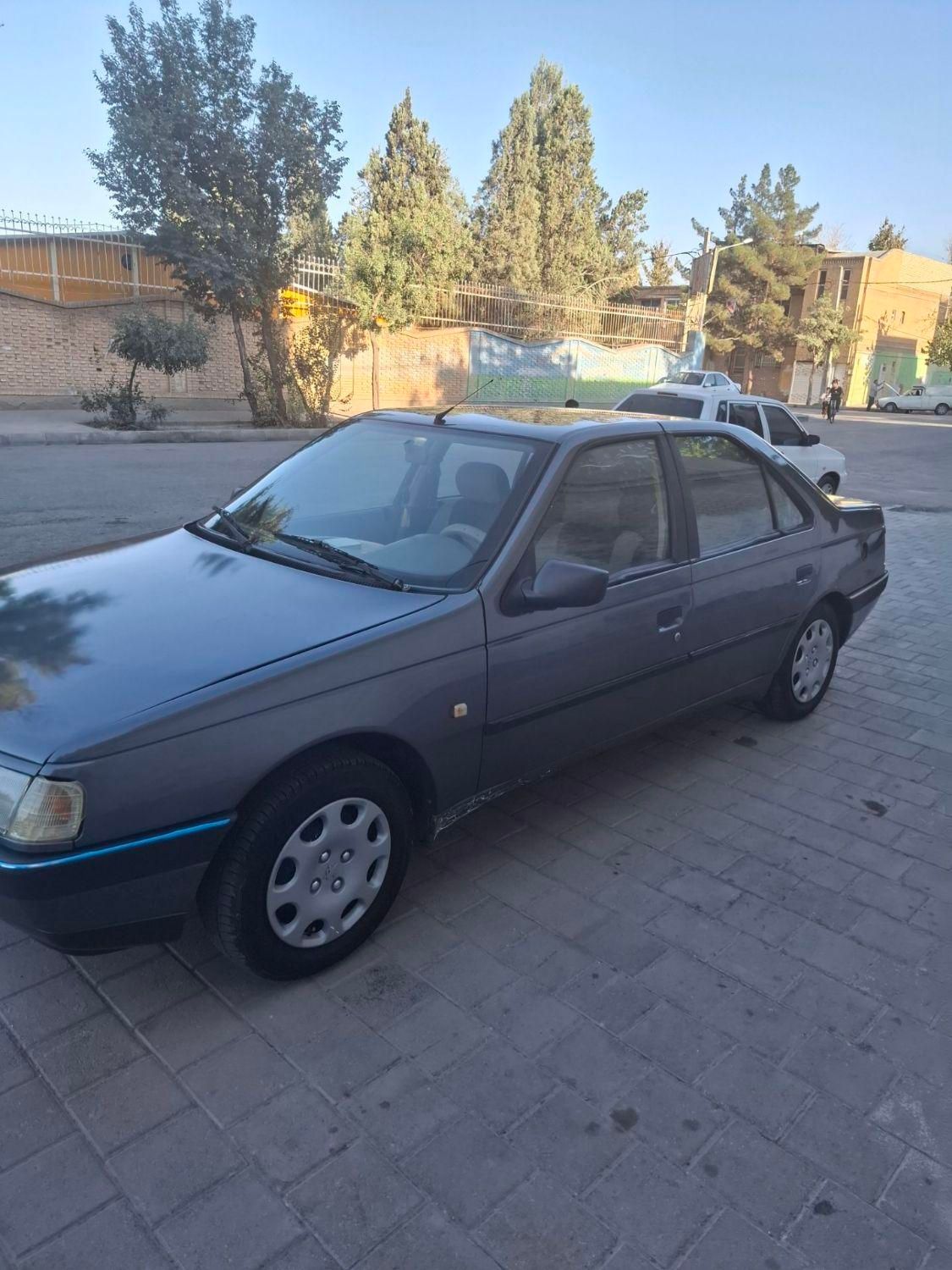 پژو 405 GLX - دوگانه سوز - 1394