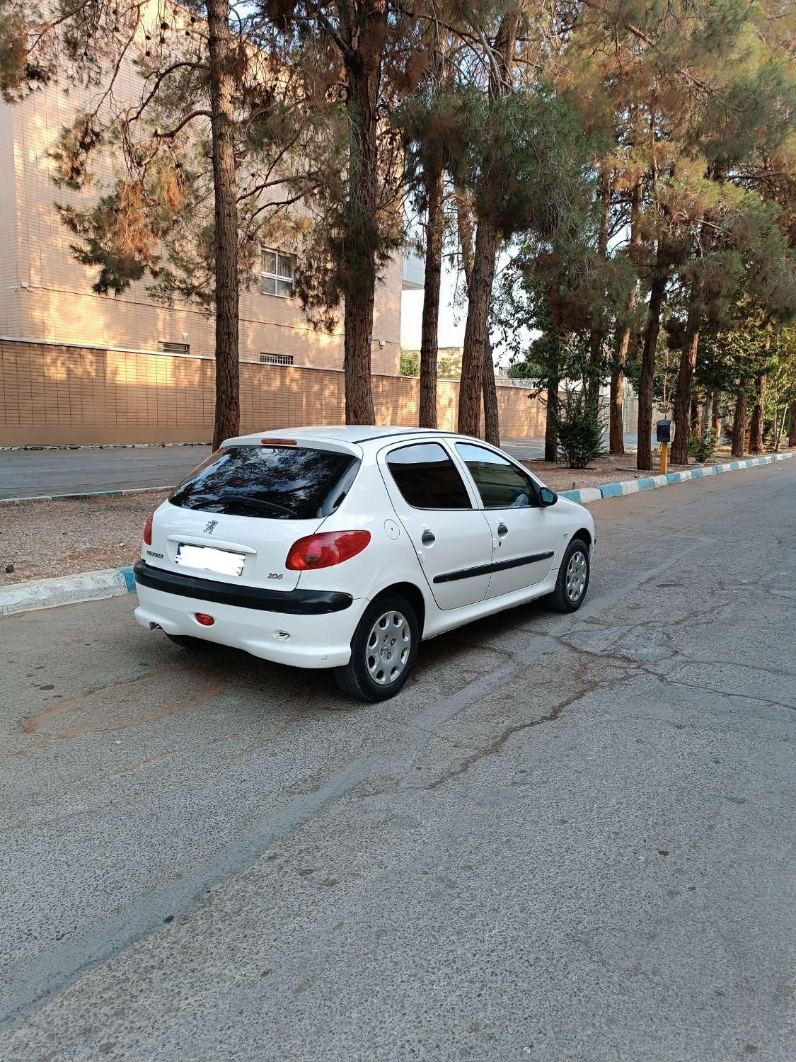 پژو 206 تیپ 2 - 1397