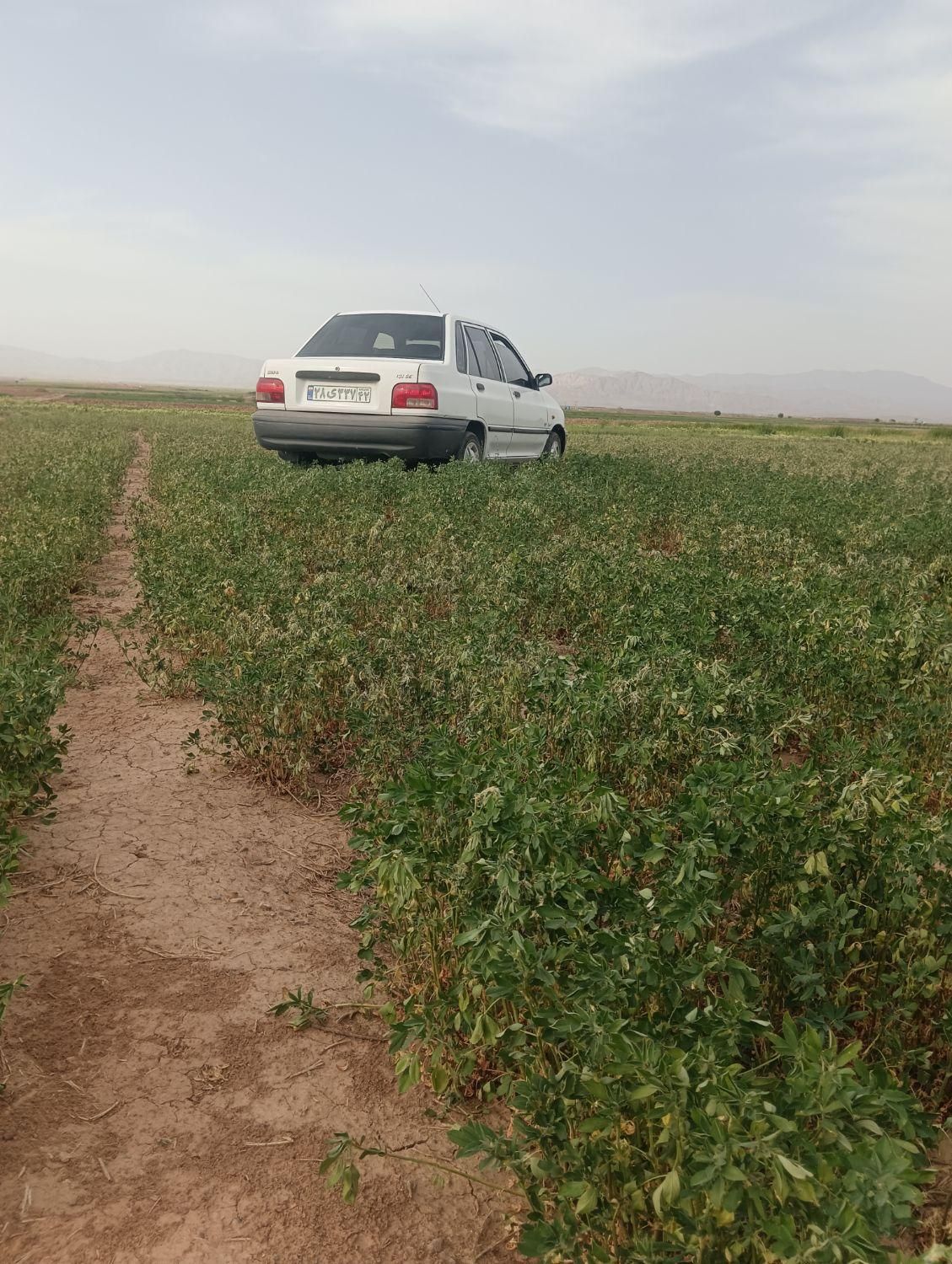 پراید 132 SE - 1393