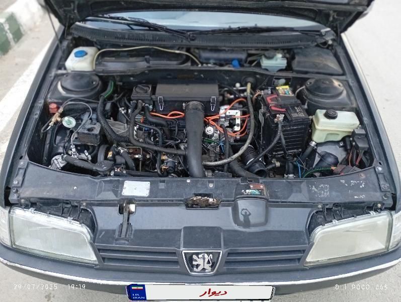 پژو 405 GLI - دوگانه سوز CNG - 1384