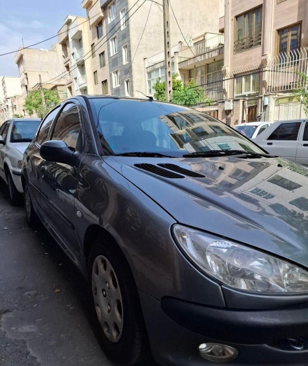 پژو 206 تیپ 5 - 1393