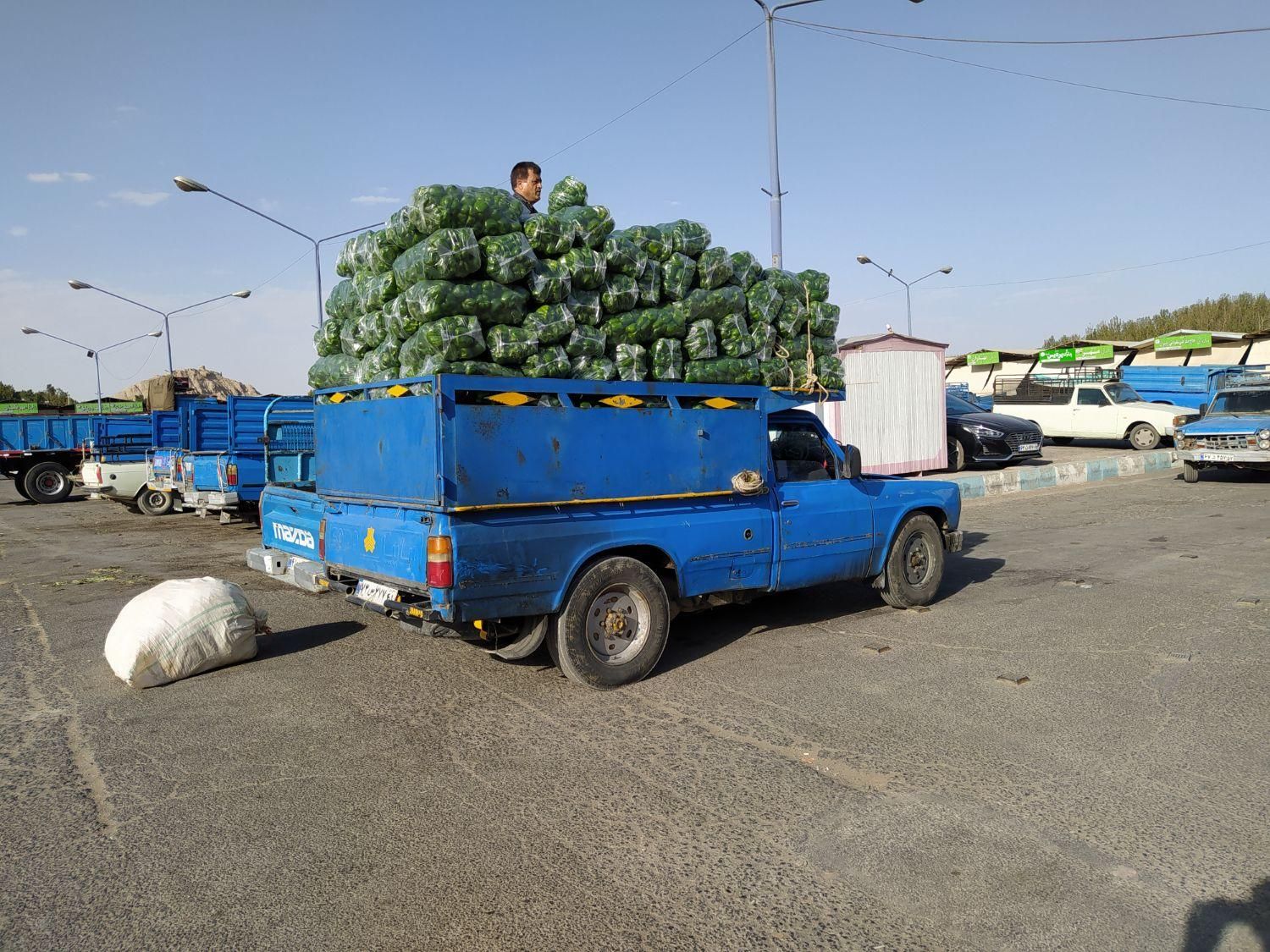 خودرو زامیاد، وانت نیسانZ24 آگهی ann_19821253