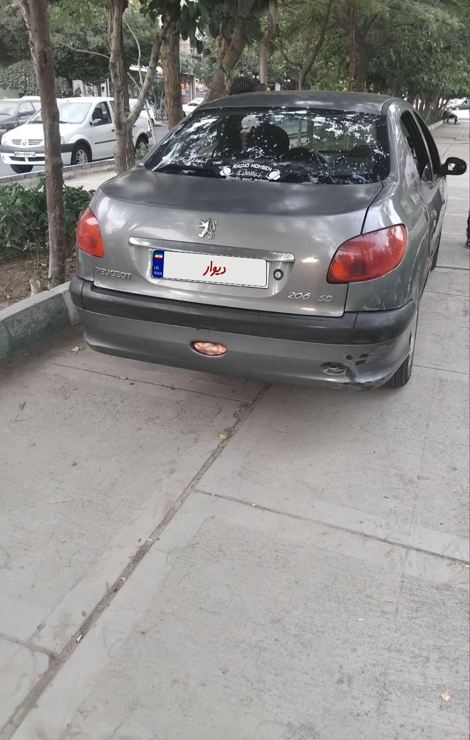 پژو 206 تیپ 5 - 1391