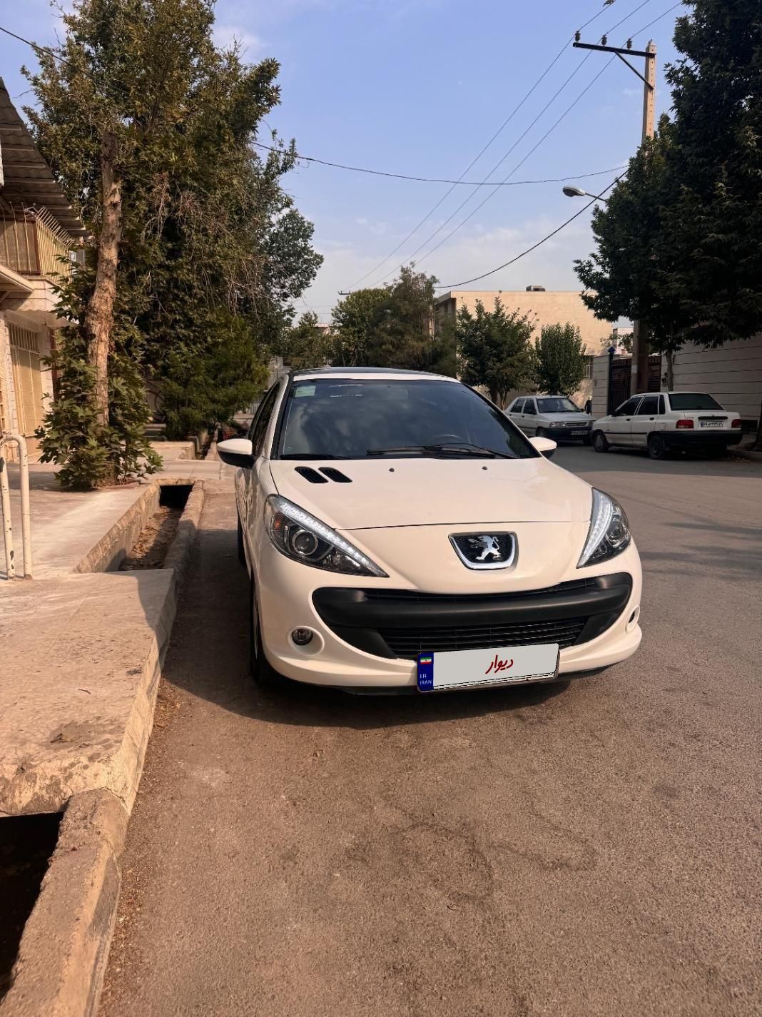 خودرو پژو، 207 آگهی ann_19826383