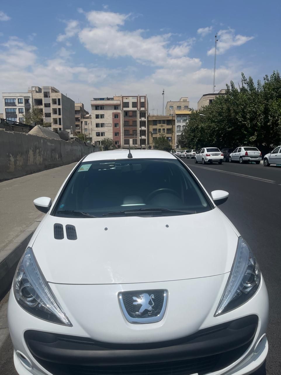 خودرو پژو، 207 آگهی ann_19826993