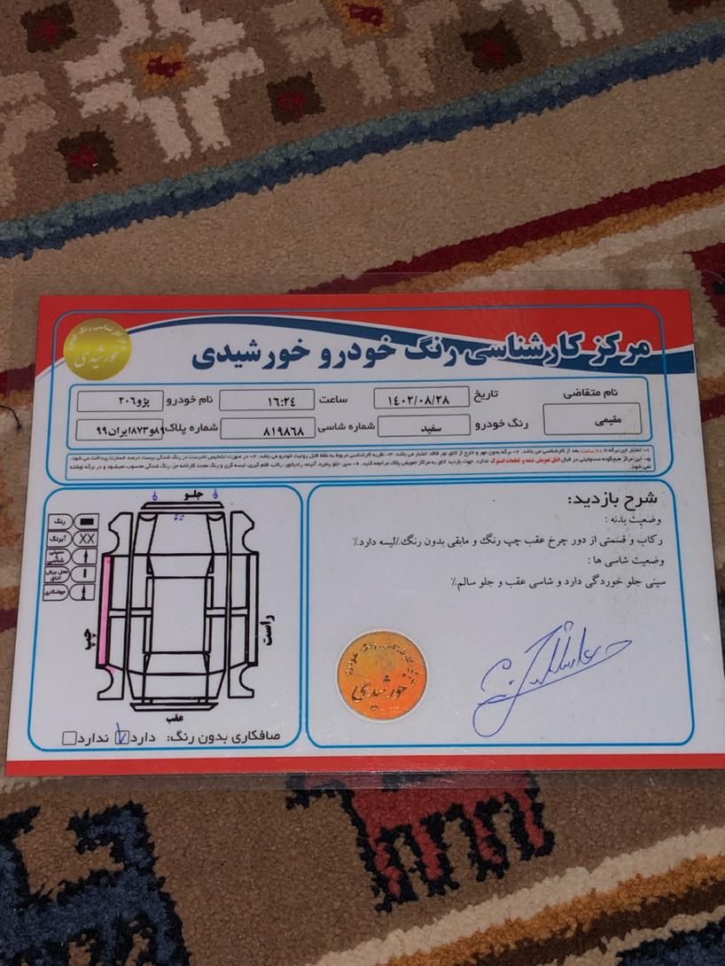 پژو 206 تیپ 2 - 1395