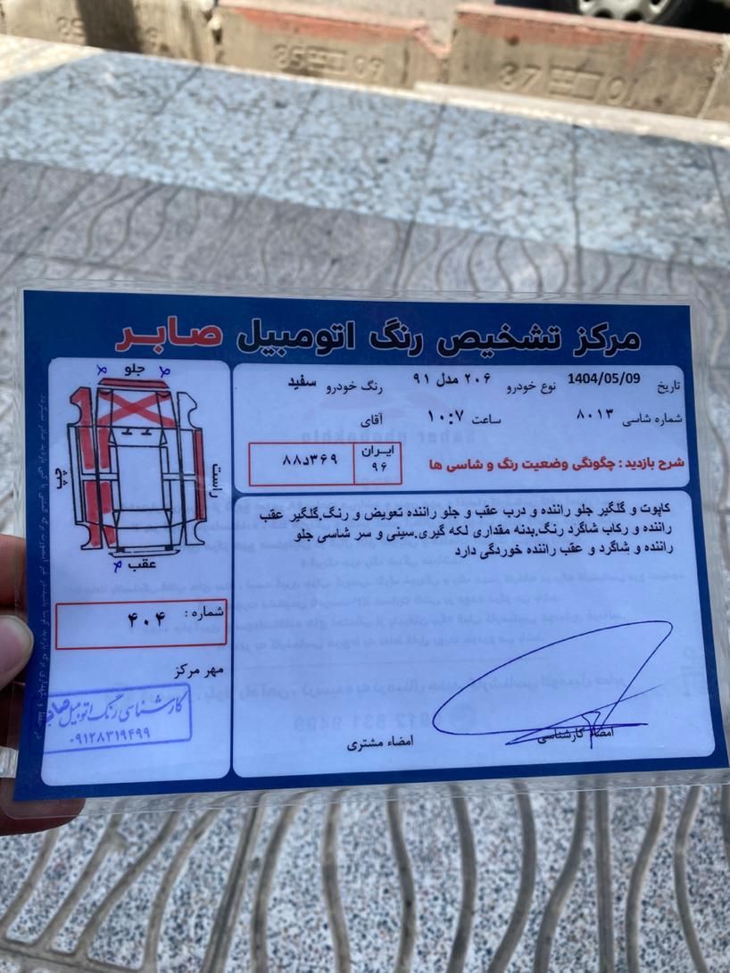 پژو 206 تیپ 2 - 1391