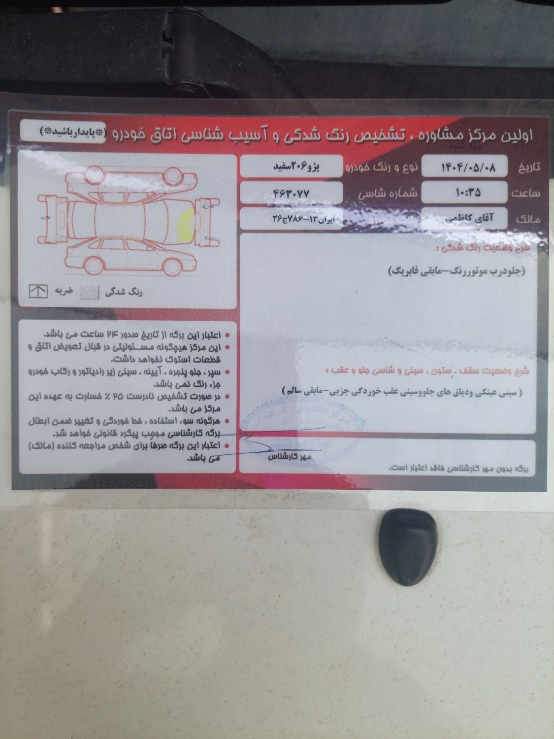 پژو 206 تیپ 2 - 1389