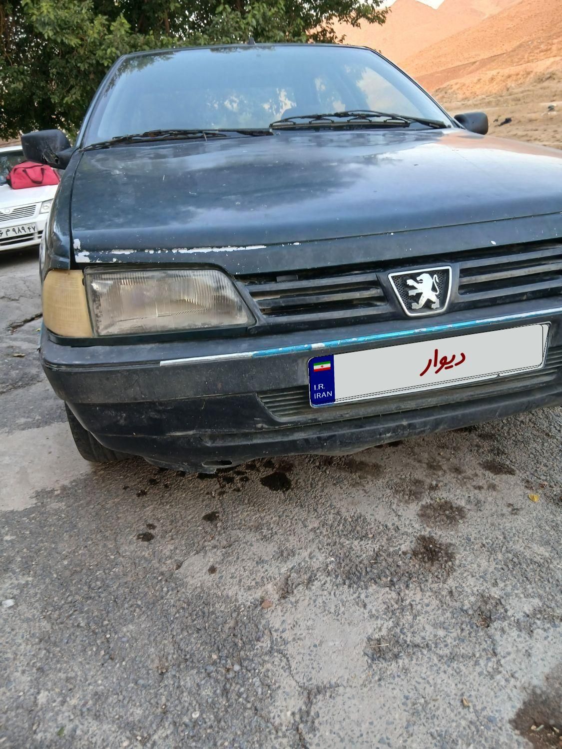 پژو آردی دوگانه سوز CNG - 1384