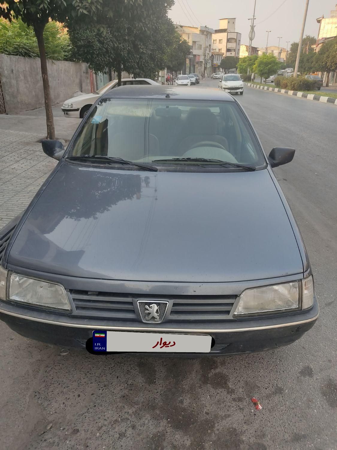 پژو 405 GLX - دوگانه سوز - 1394