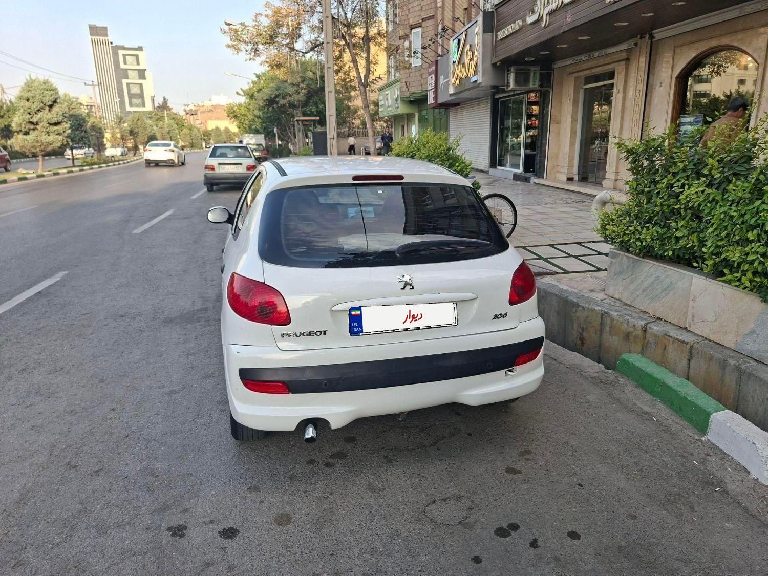 پژو 206 تیپ 5 - 1394