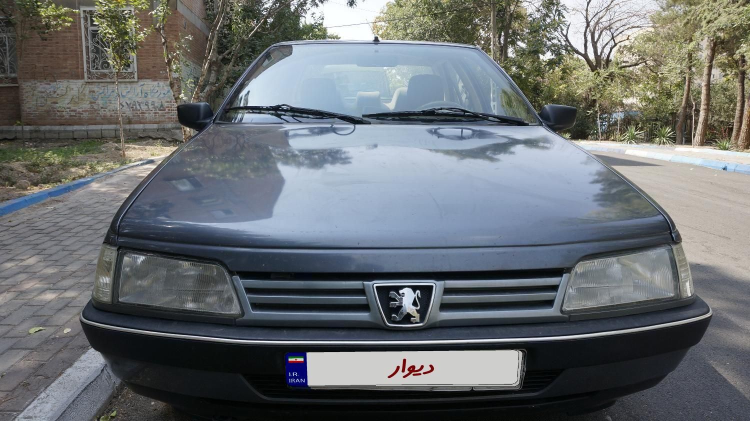 پژو 405 GLX - دوگانه سوز - 1394