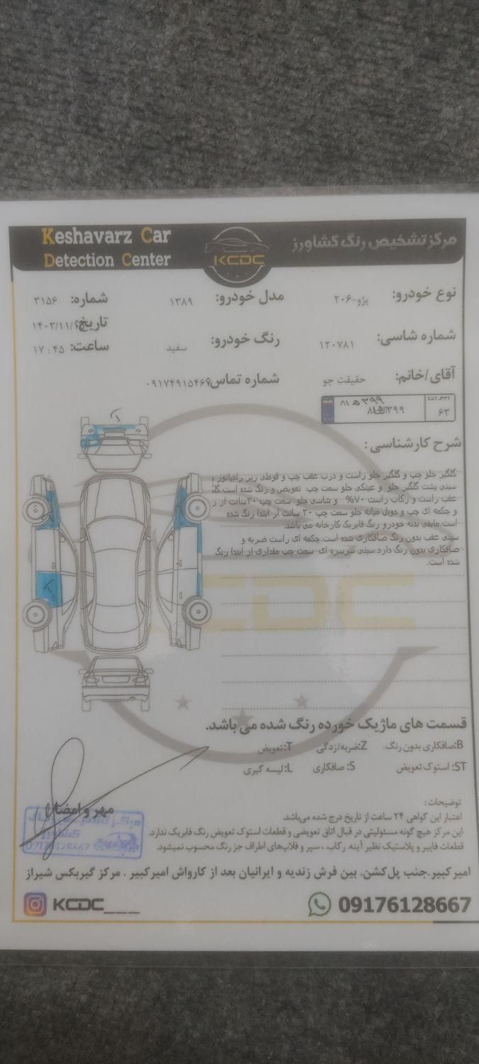 پژو 206 تیپ 2 - 1389