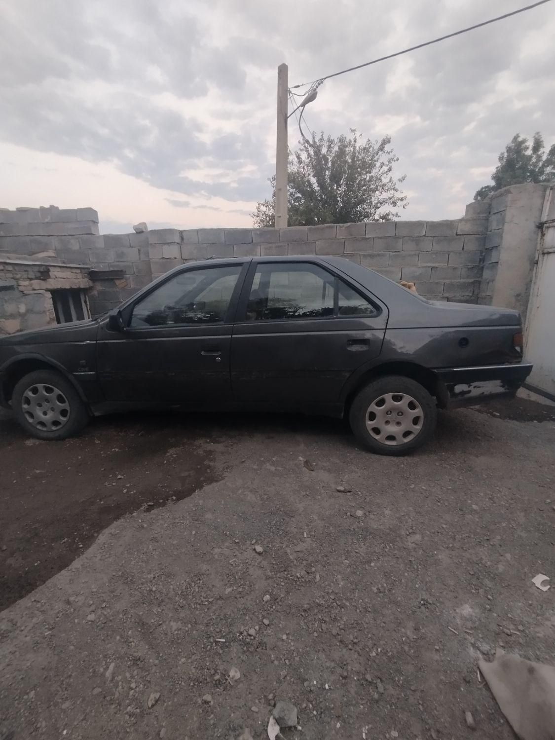 خودرو پژو، روآ آگهی ann_19841977