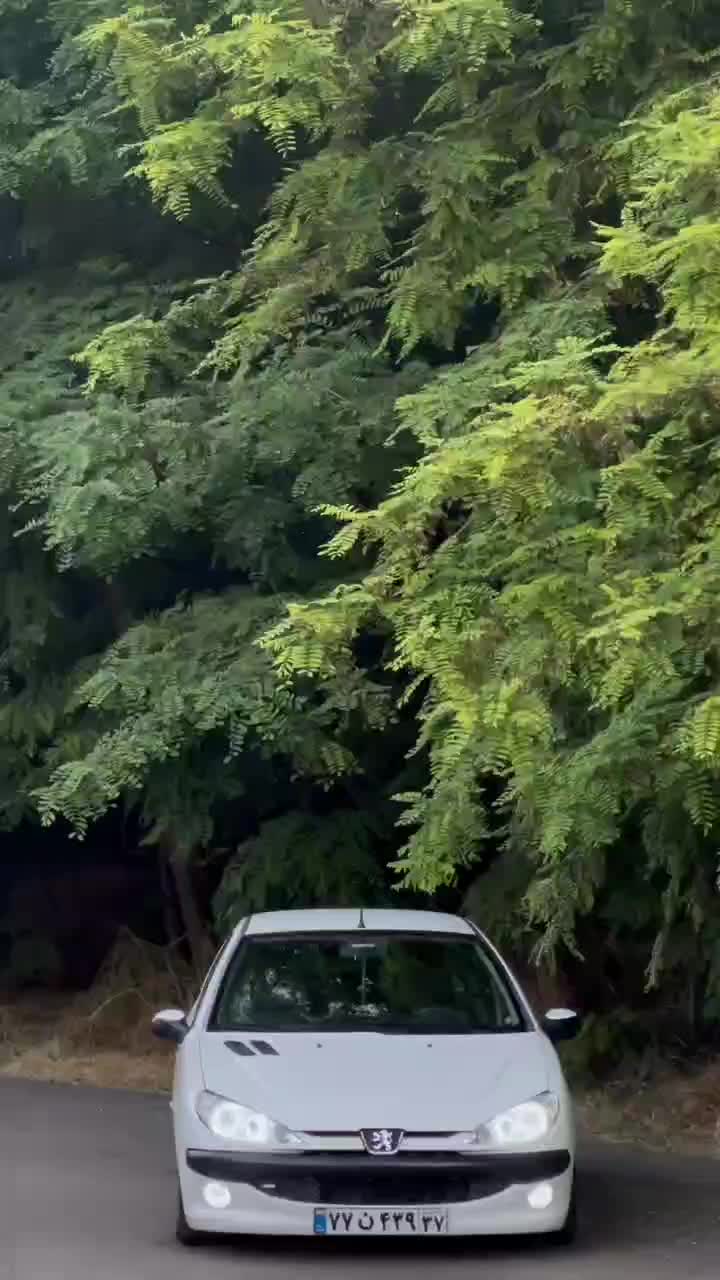 خودرو پژو، 206 آگهی ann_19843547