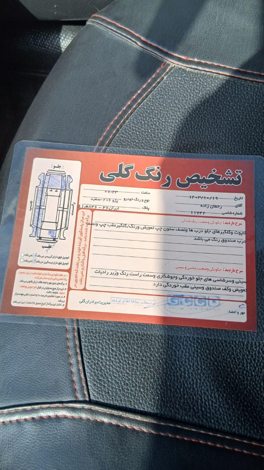 پژو 206 تیپ 2 - 1395