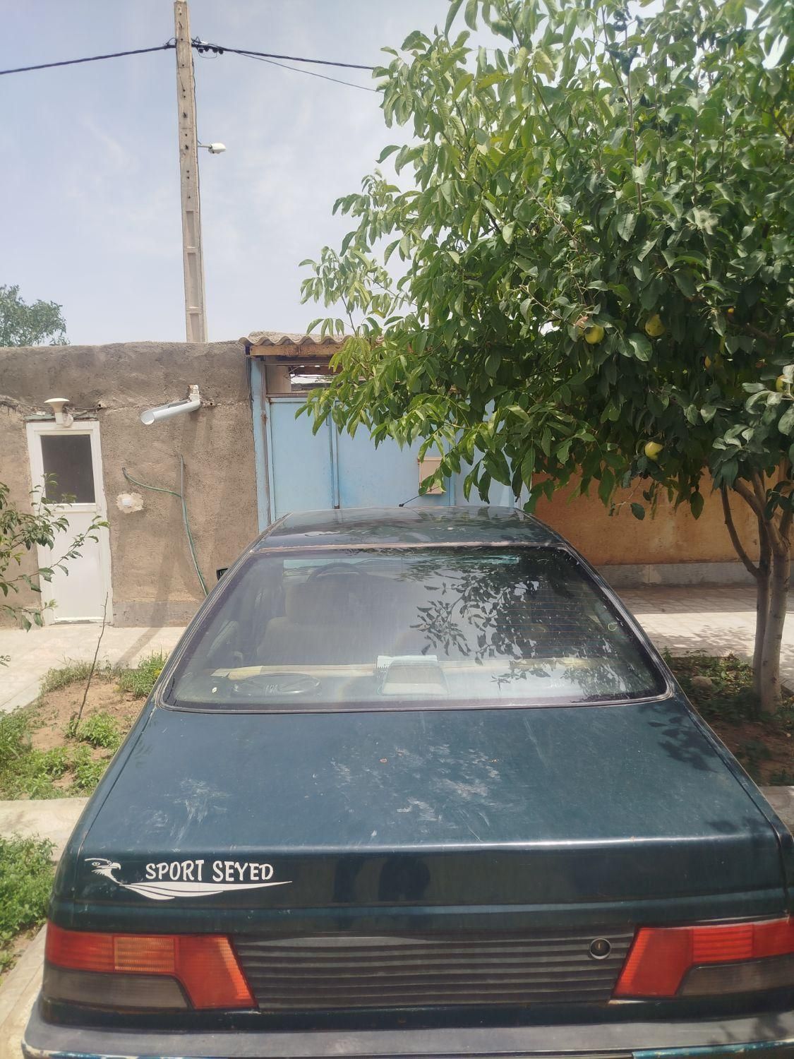 پژو آردی دوگانه سوز CNG - 1384
