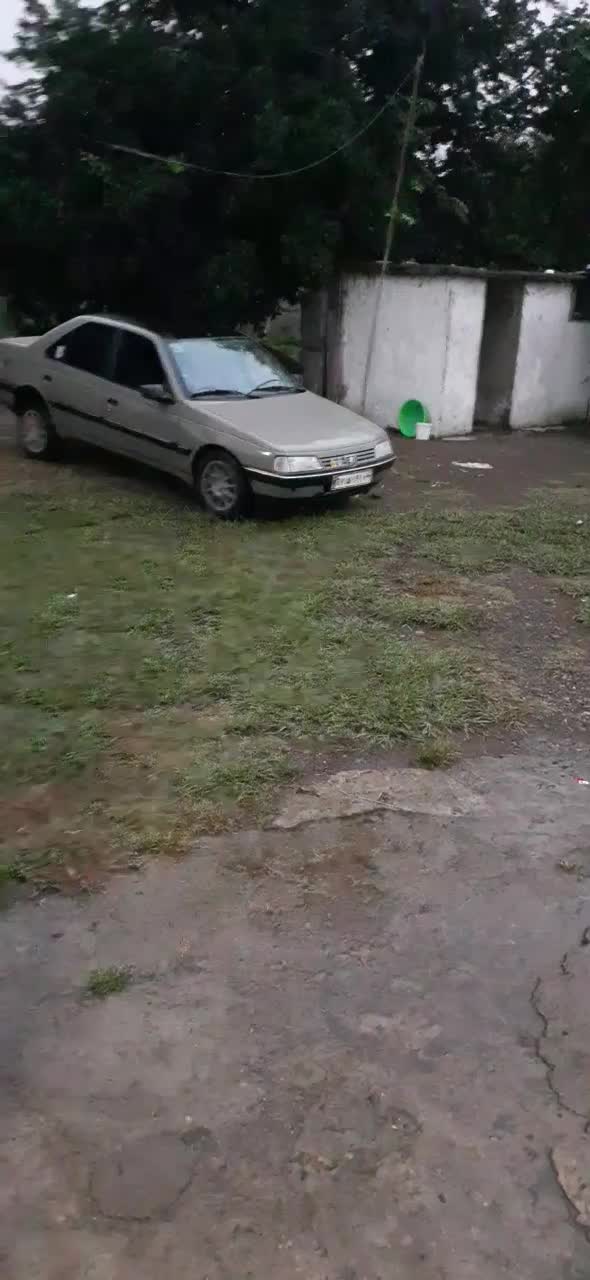 خودرو پژو، 405 آگهی ann_19845892