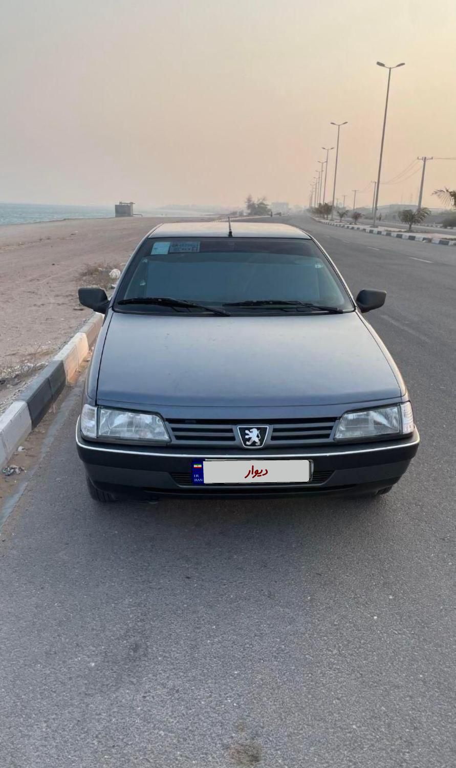 خودرو پژو، 405 آگهی ann_19845939