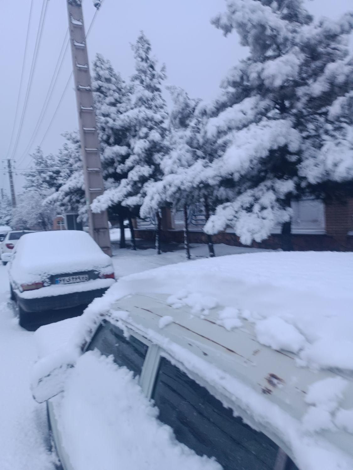 خودرو پراید، 132 آگهی ann_19846207
