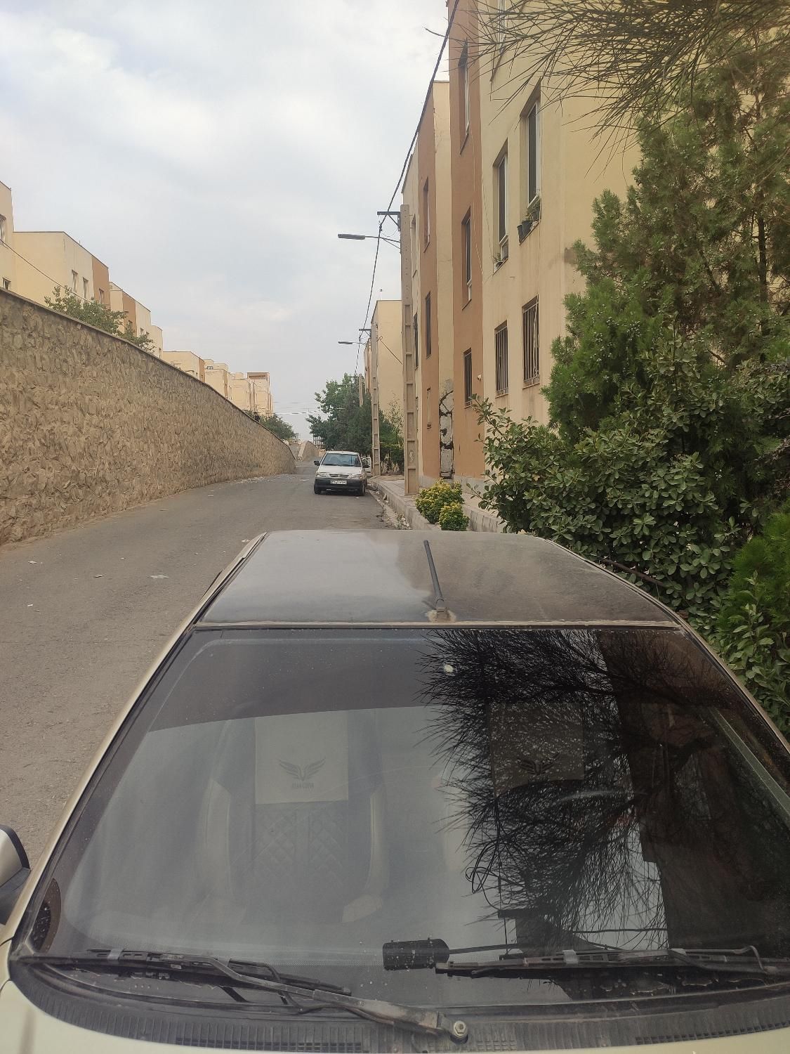 پژو پارس ELX-XU7P سفارشی - 1382