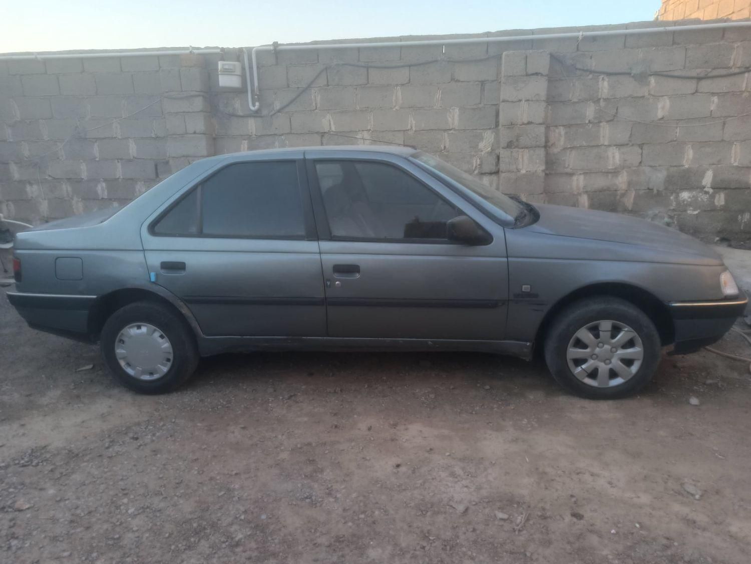 پژو 405 GLX - دوگانه سوز - 1389