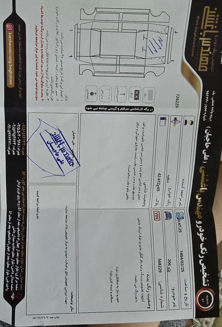 پژو 206 تیپ 2 - 1391