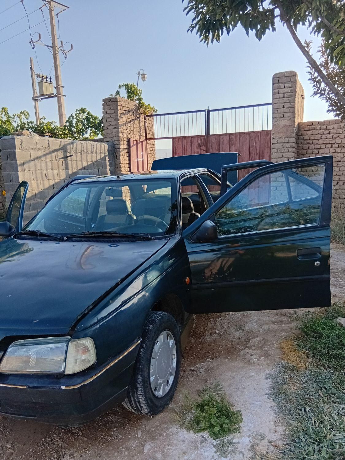 پژو آردی دوگانه سوز LPG - 1385