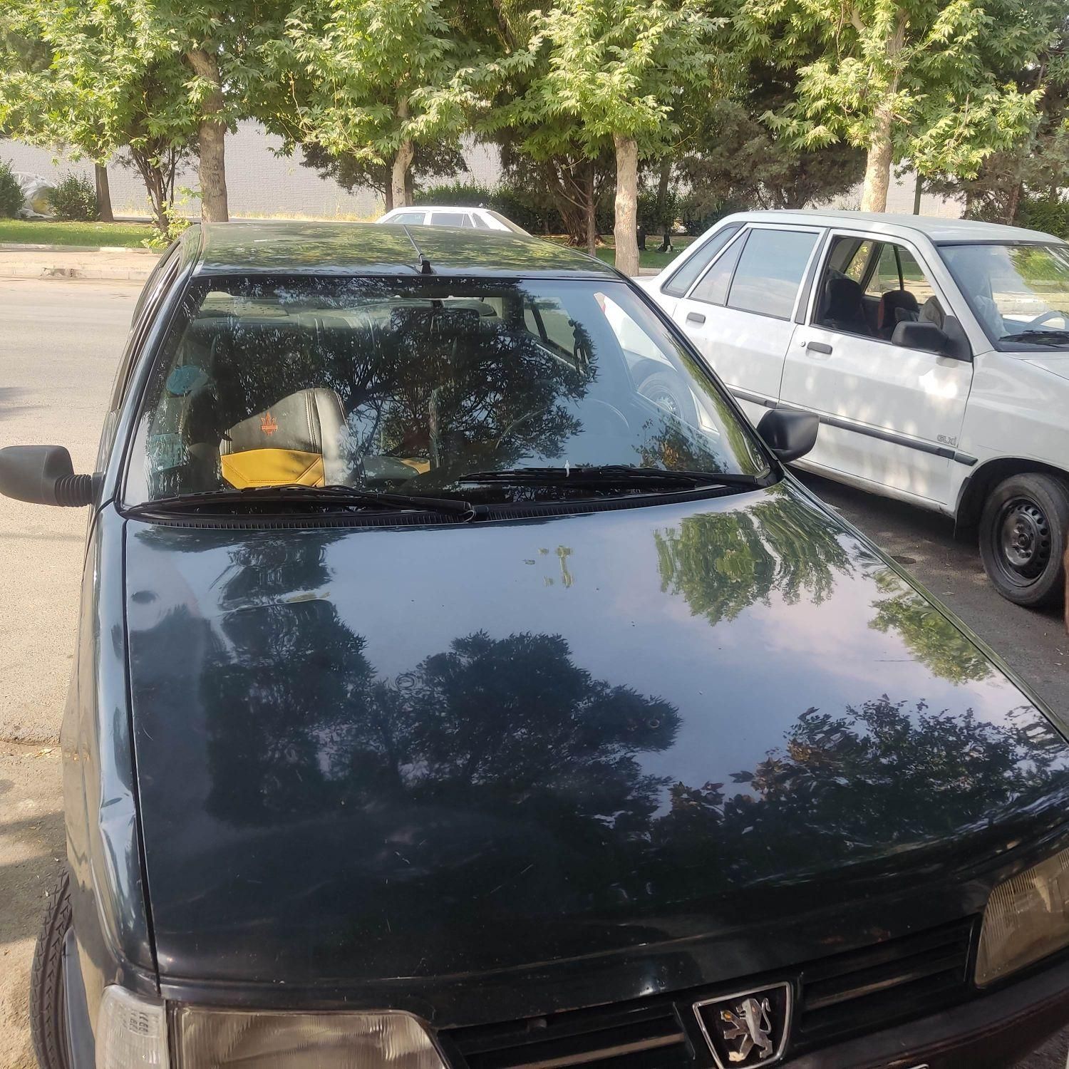 پژو آردی دوگانه سوز CNG - 1384