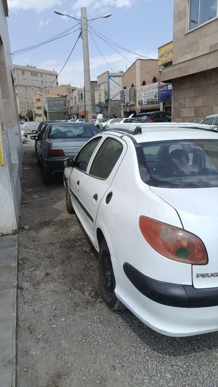 پژو 206 تیپ 5 - 1391