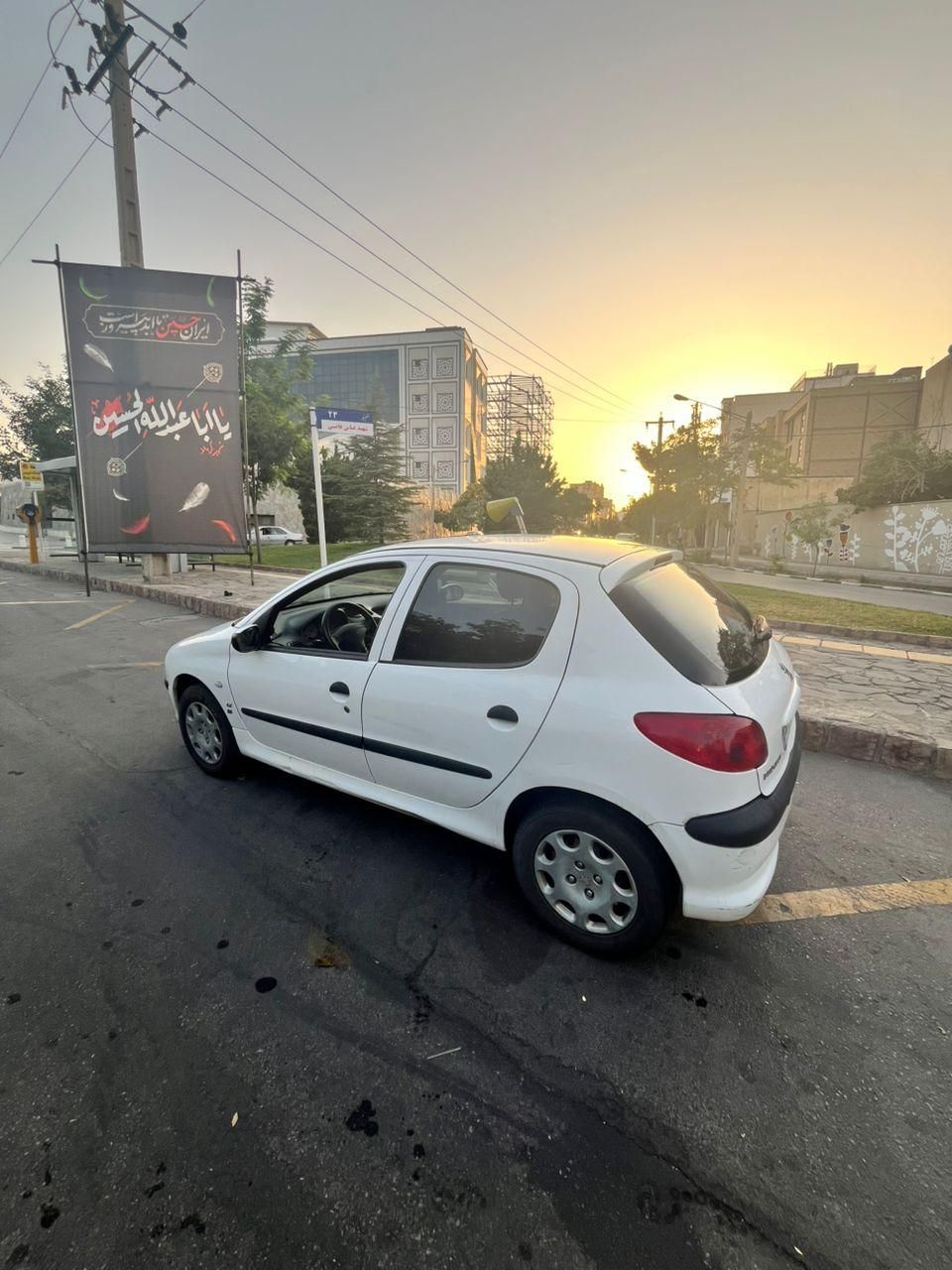 پژو 206 تیپ 5 - 1393