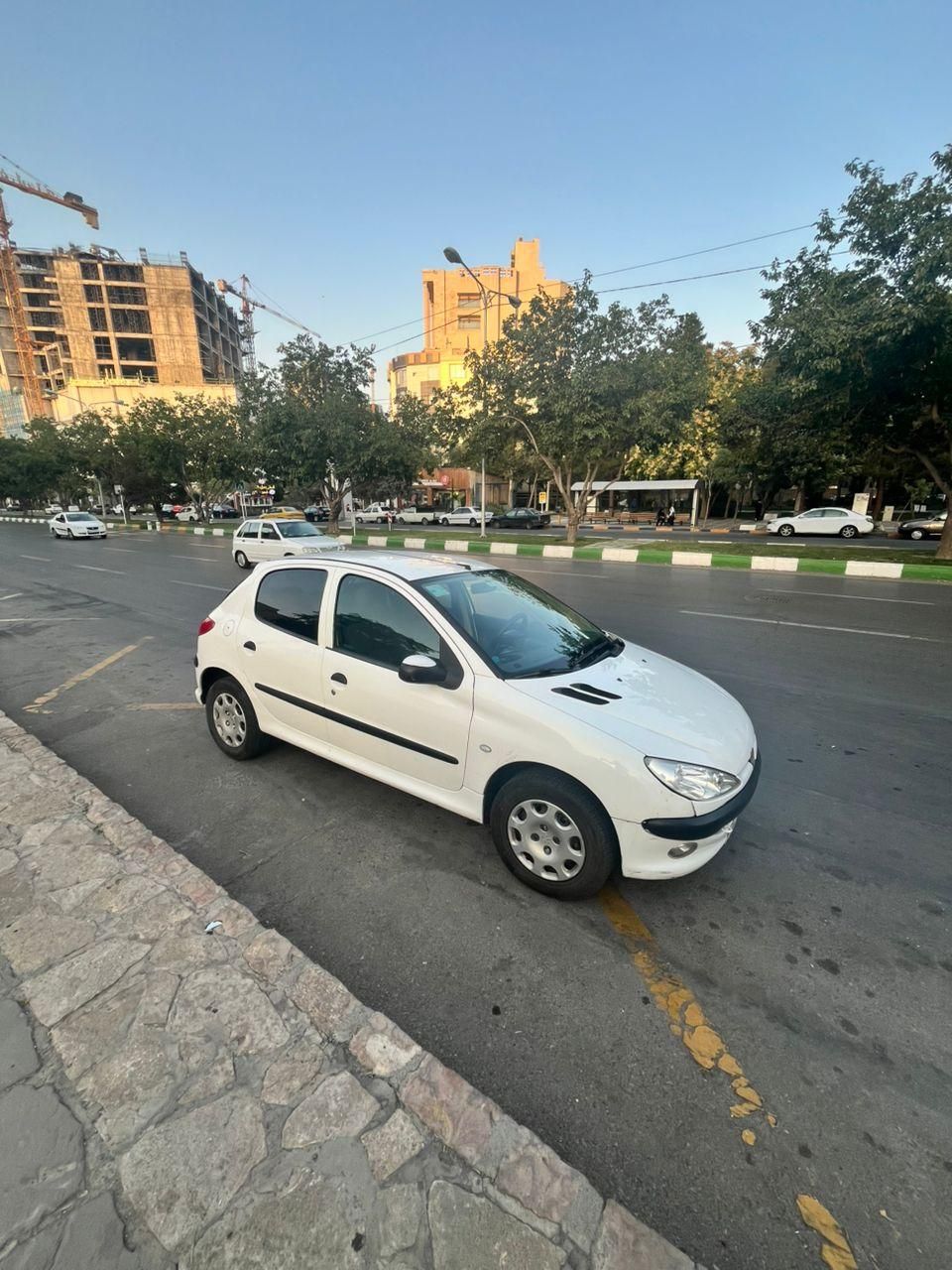 پژو 206 تیپ 5 - 1393