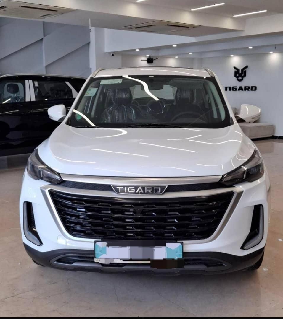 تیگارد X35 ساده - 1404