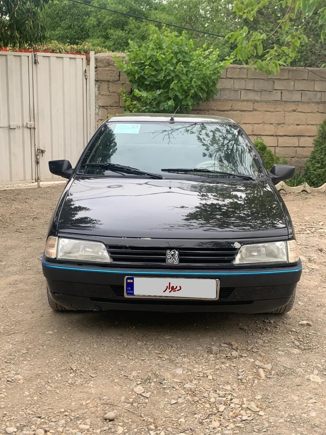 پژو 405 GLX - دوگانه سوز - 1393