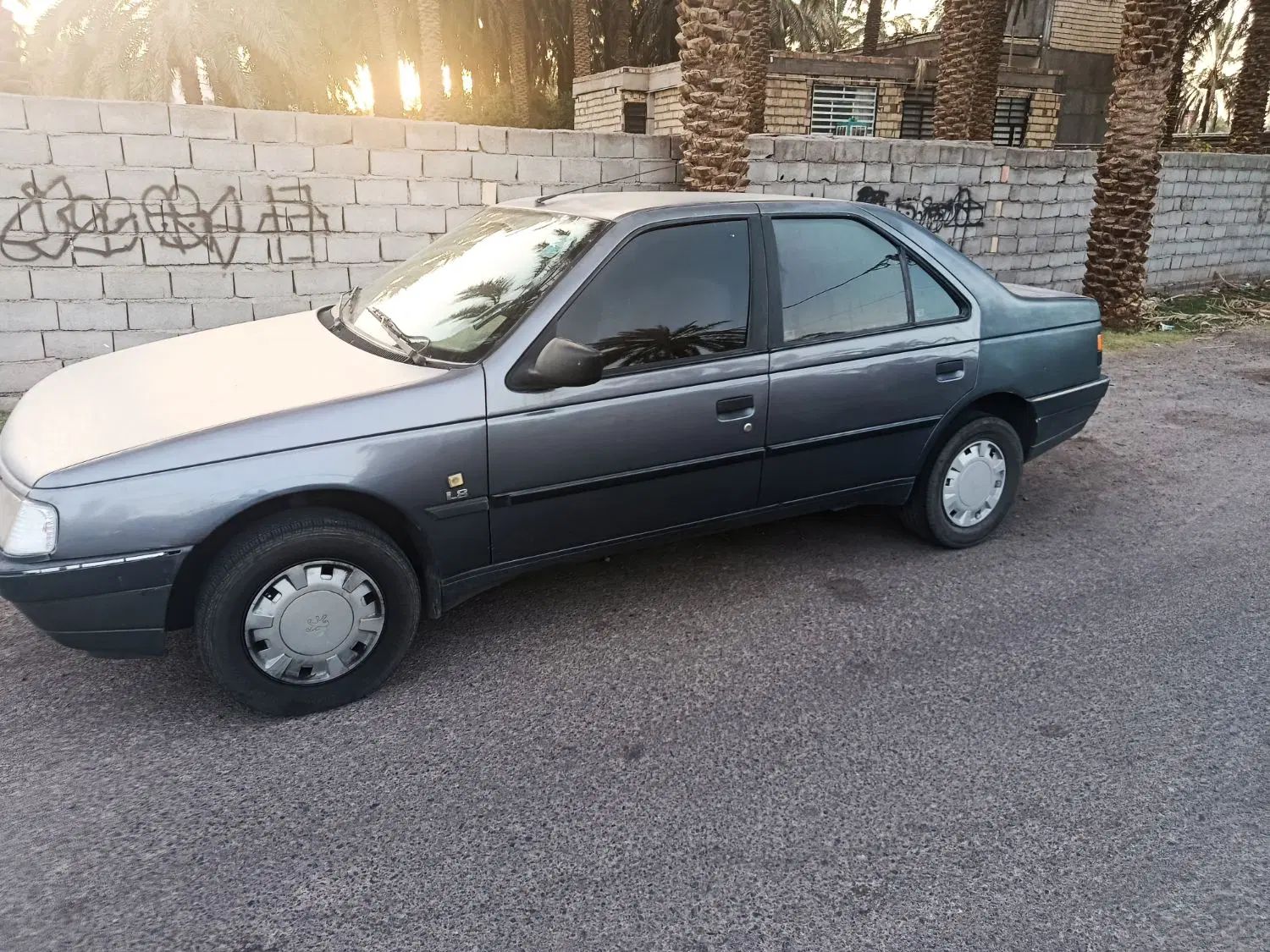 پژو 405 GLX - 1396