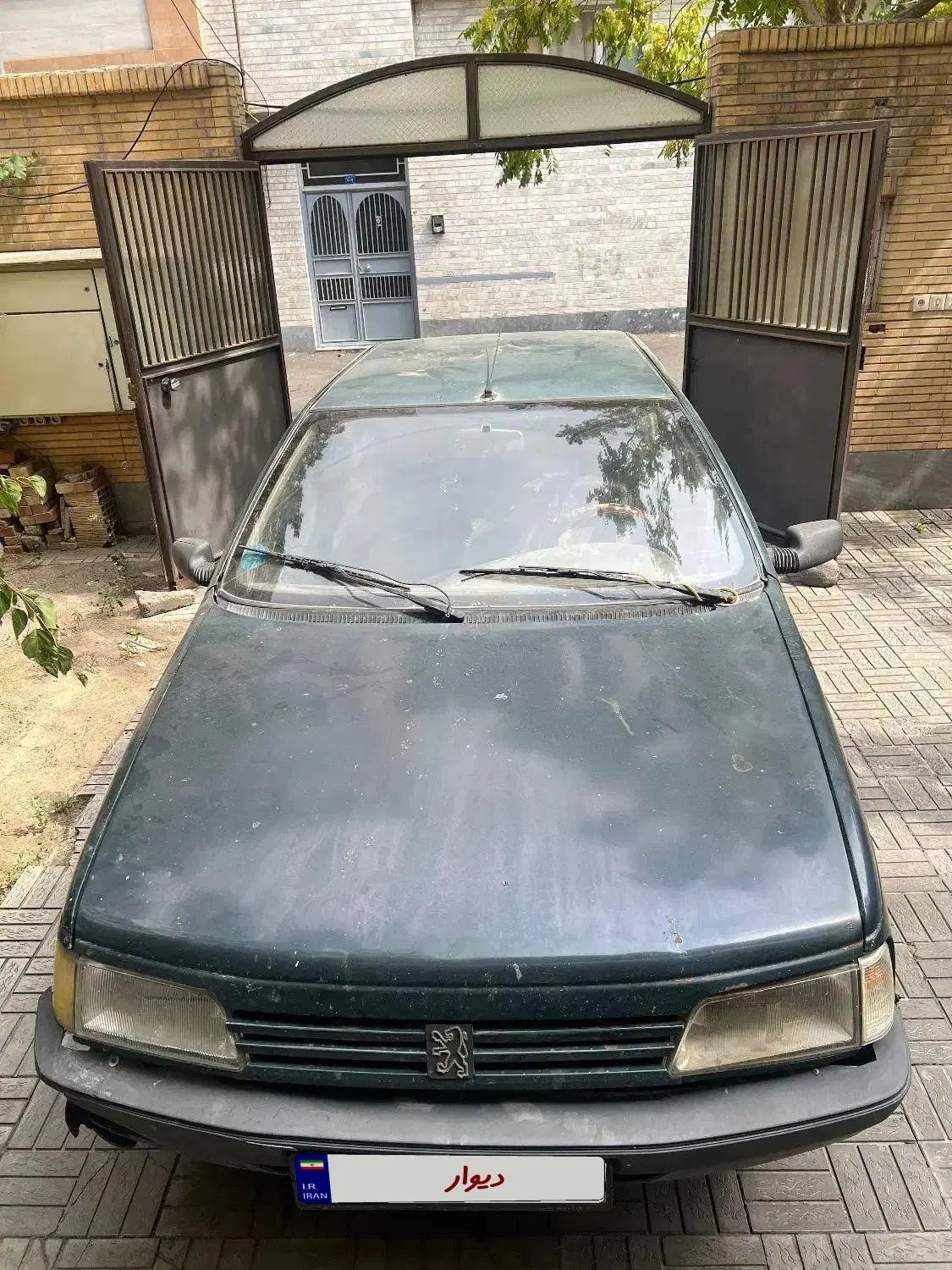 پژو آردی دوگانه سوز CNG - 1384