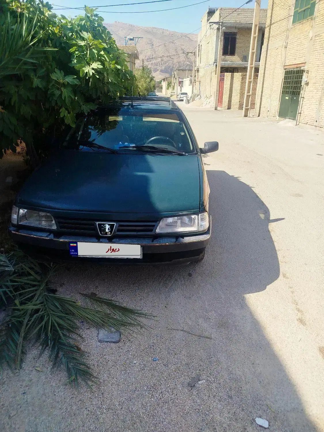 پژو آردی دوگانه سوز CNG - 1383