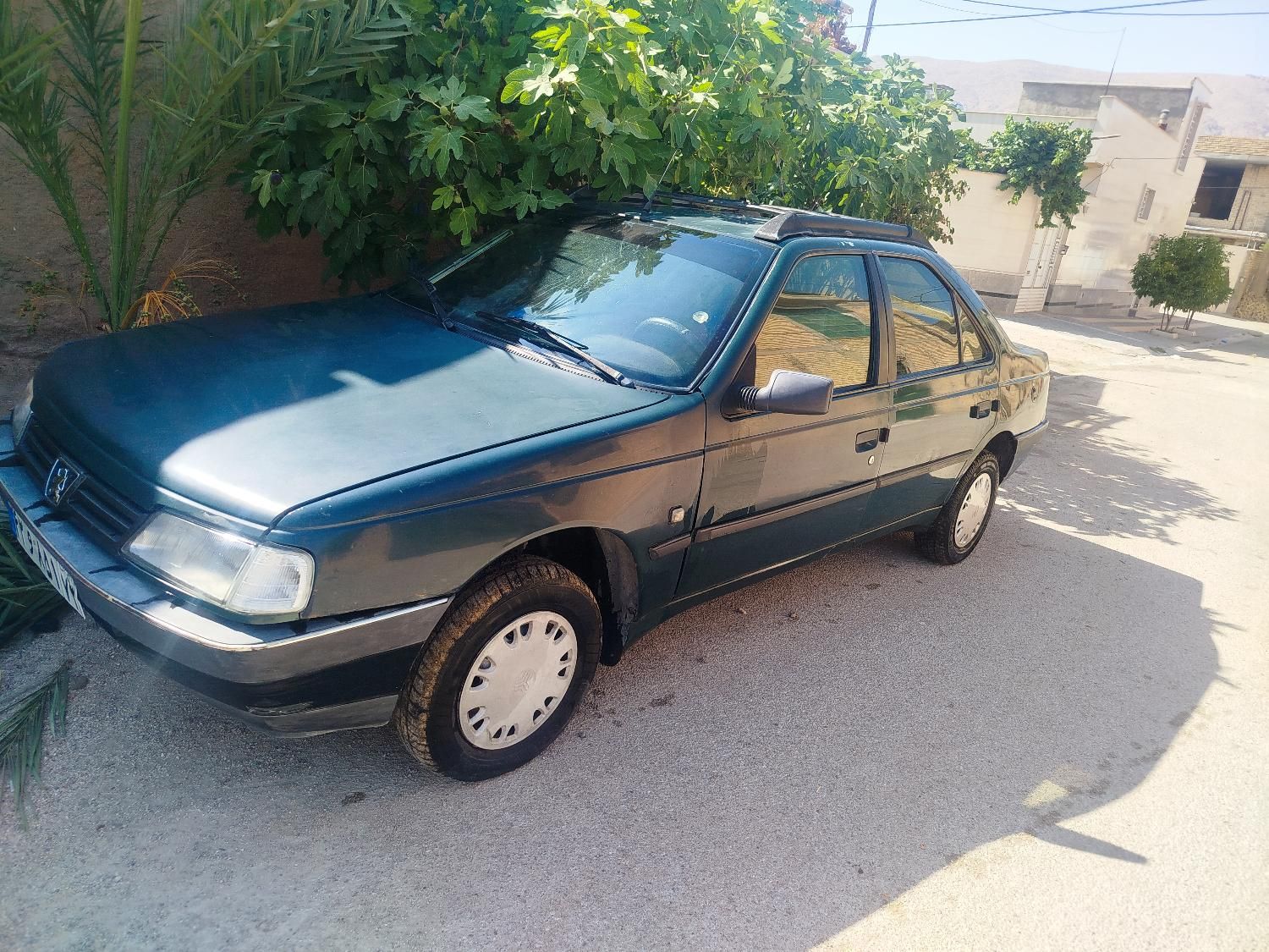 پژو آردی دوگانه سوز CNG - 1383