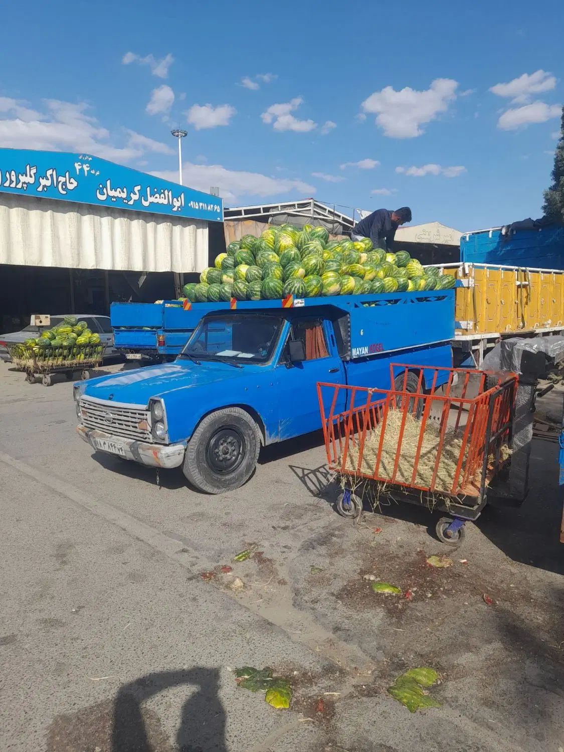 زامیاد وانت نیسانZ24 بنزینی - 1382