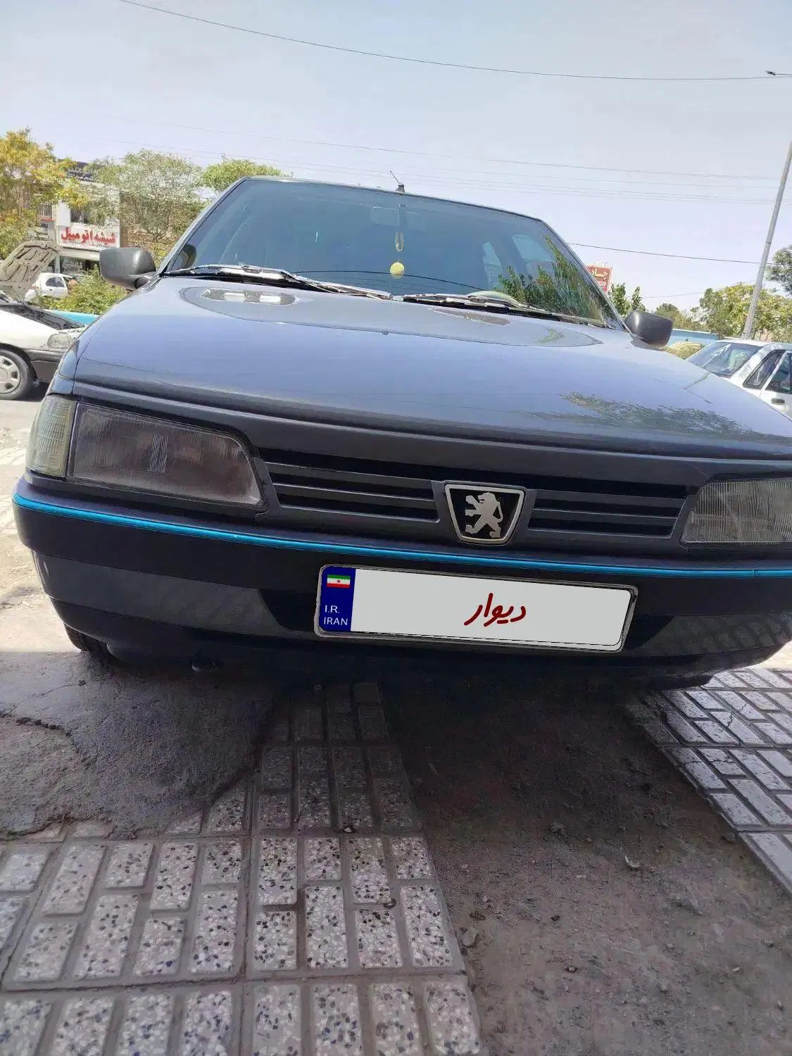 پژو 405 دوگانه سوز GLX - TU5 - 1391